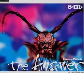 showtaro morikubo the answer